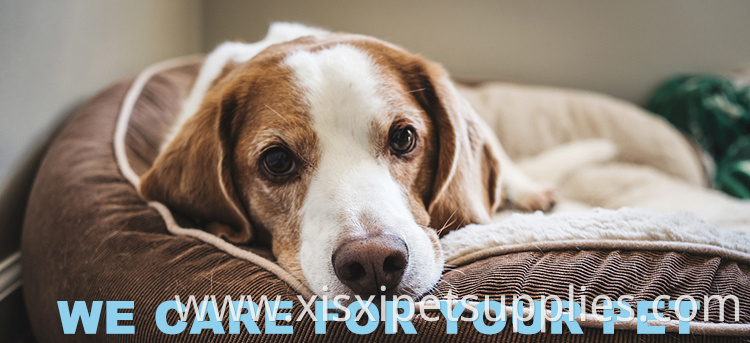Cheap Luxury Iron Pet Bed For Dog And Cat Pet Bed